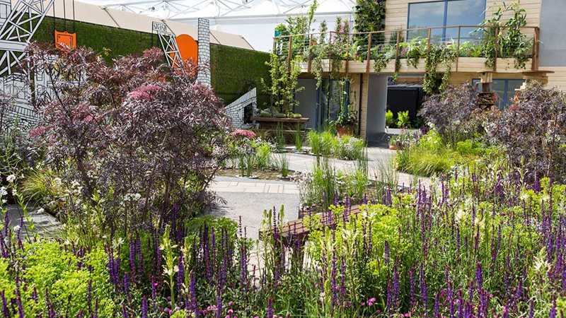 Цветочное шоу в Челси (Chelsea Flower Show)